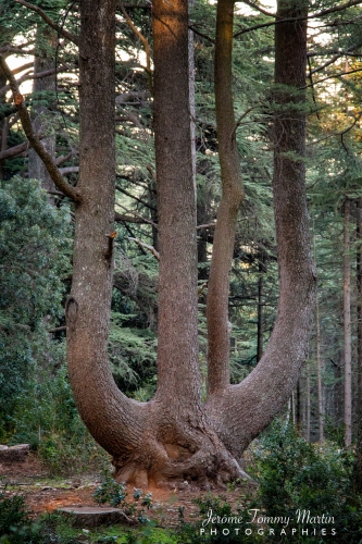 Rustrel_124