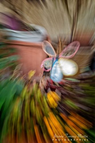 Vitesse-lente_068